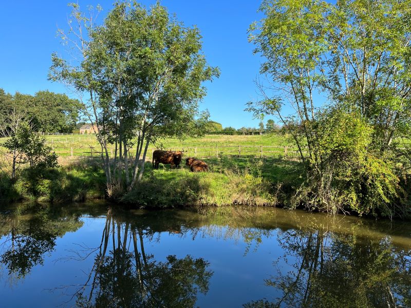 Issue No. 167 July 2024 – Hollin