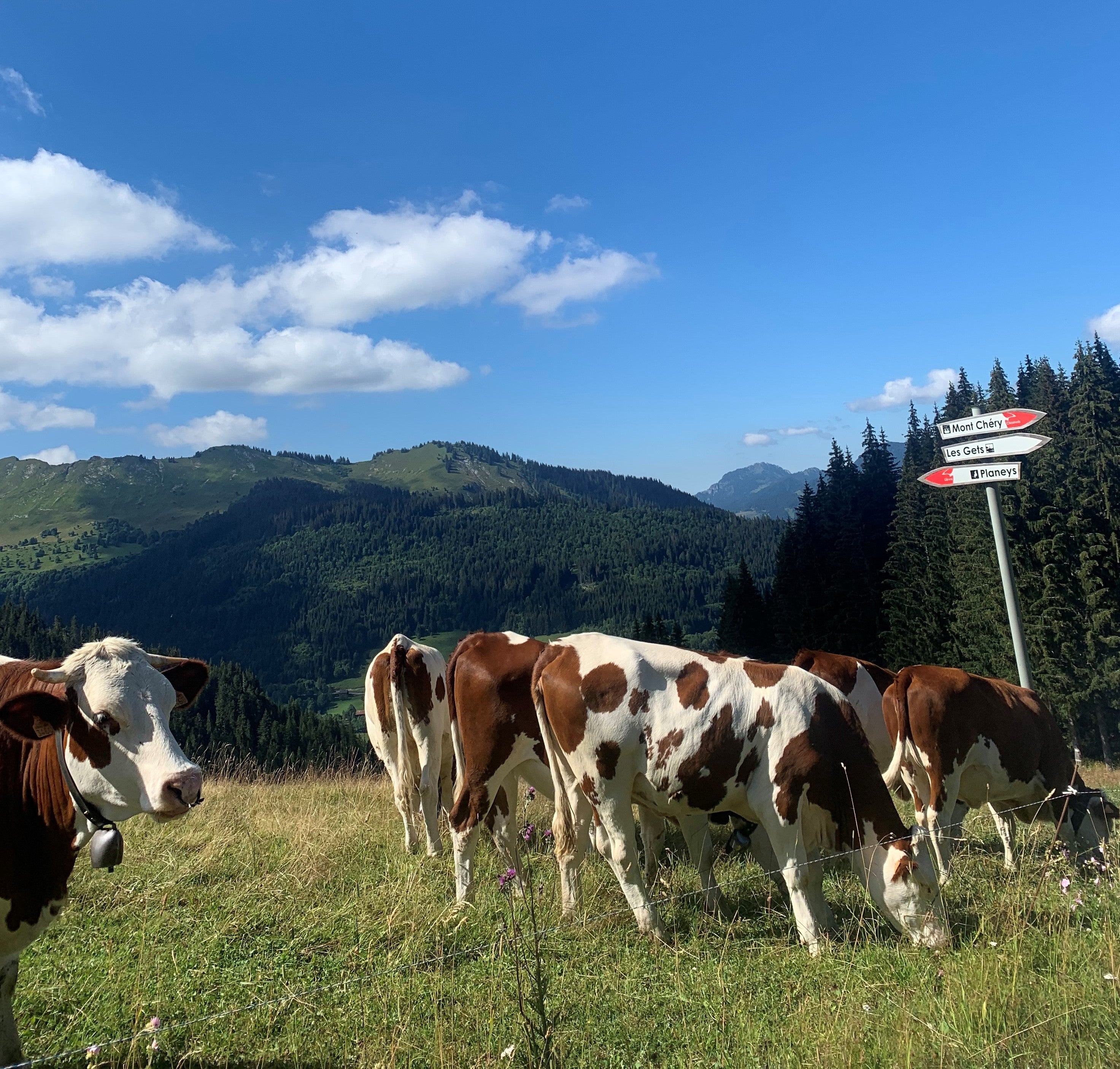 Issue No. 128 - April 2021 – Hollin