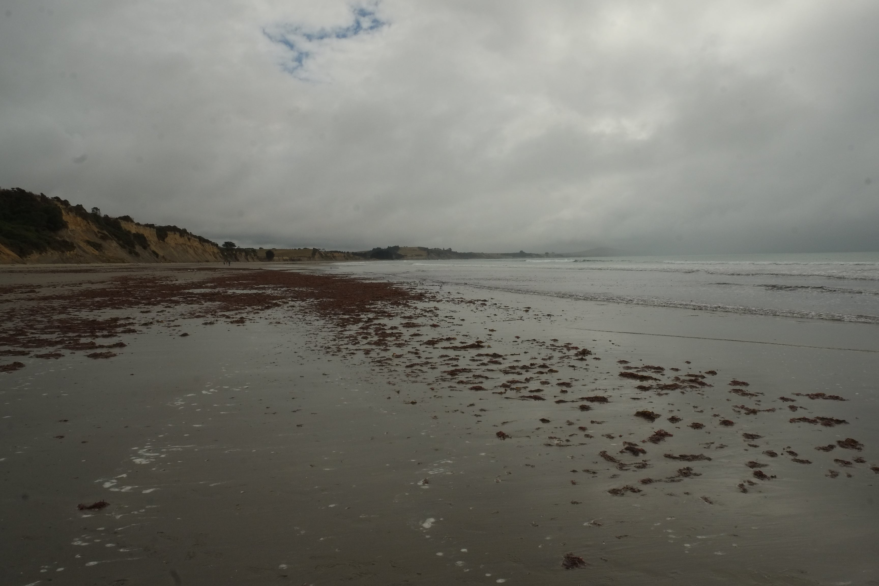 Issue No. 158 October 2023 – Hollin