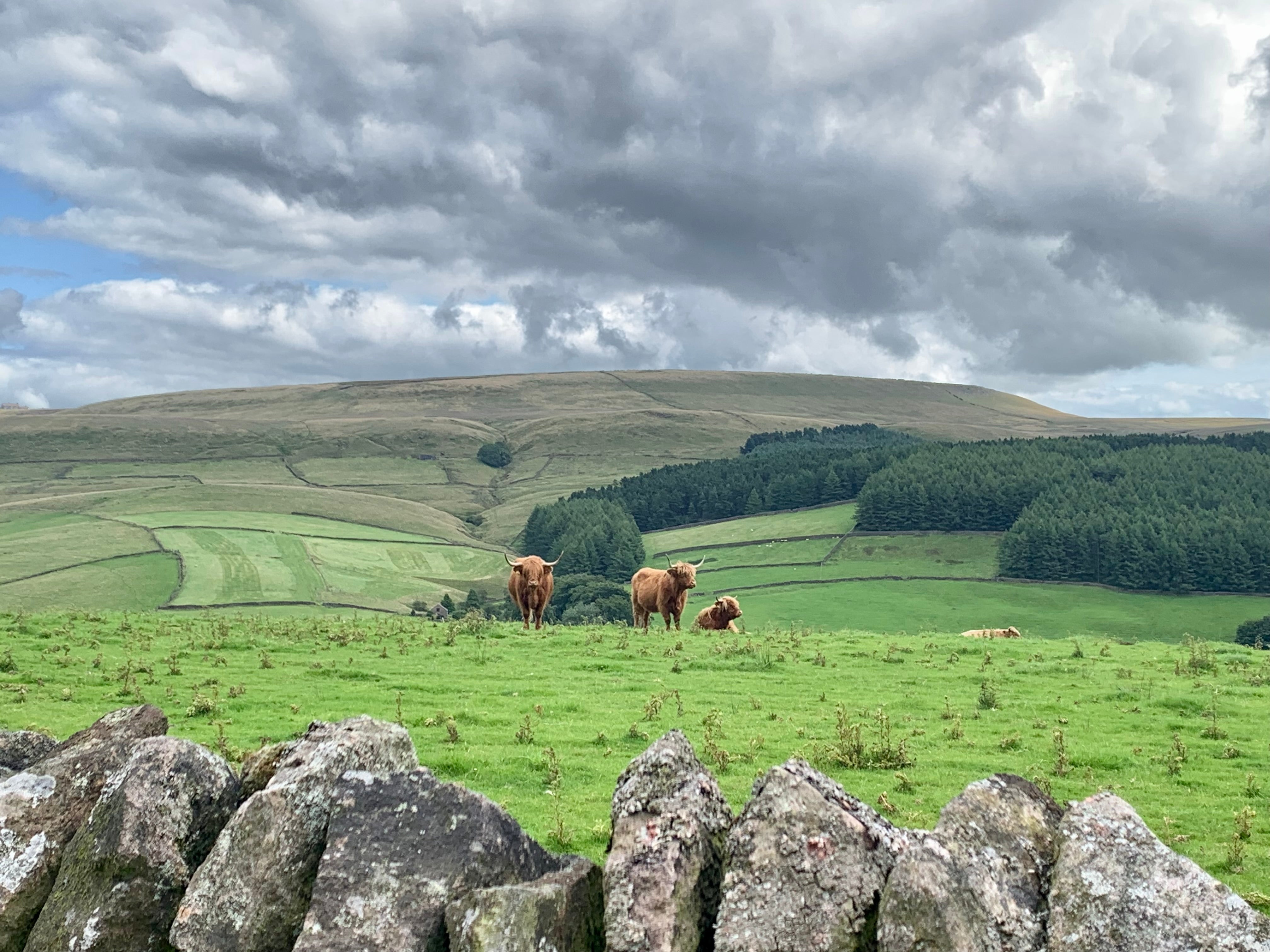 Issue No. 170 October 2024 – Hollin